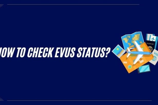 How to Check EVUS Status